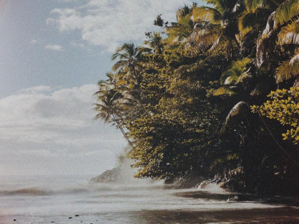Honomu Inn المظهر الخارجي الصورة